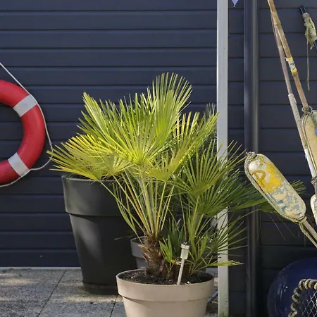 Maison d'hôtes La Maison Au-dessus Des Voiles
