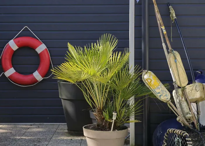 Guest house La Maison Au-dessus Des Voiles